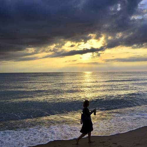 Photo #9339290