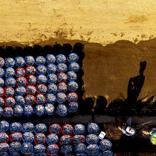 Photo #9339513