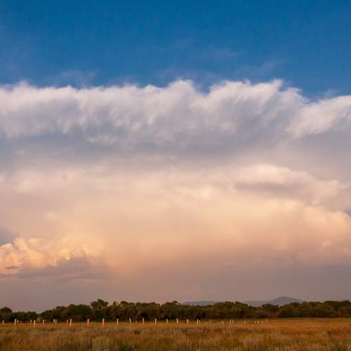 Photo #9339619
