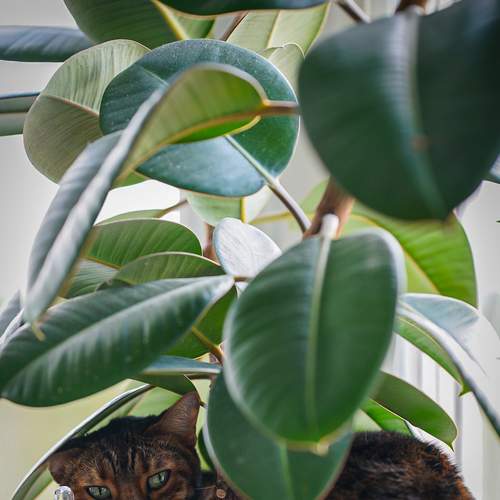 Photo #9339905