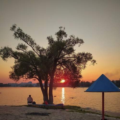 Photo #9340031