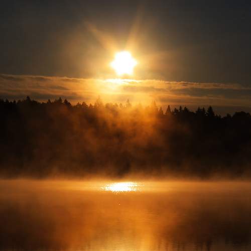 Photo #9340149