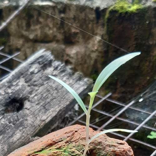 Photo #9340239