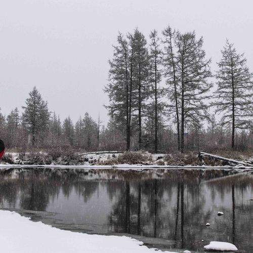 Photo #9340380