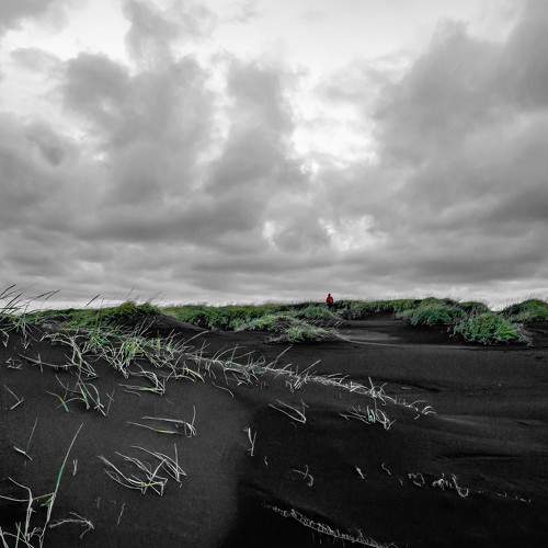 Photo #9340601