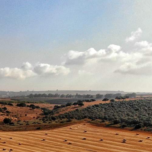 Photo #9340700