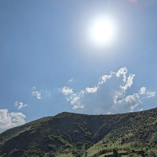 Photo #9340716