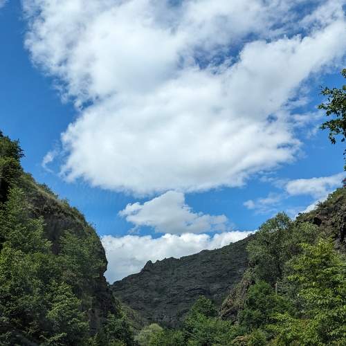 Photo #9340729