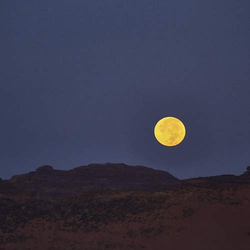 Photo #9340767