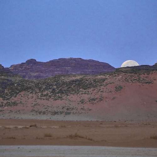Photo #9340769