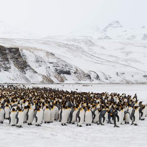 Фотография #9340824