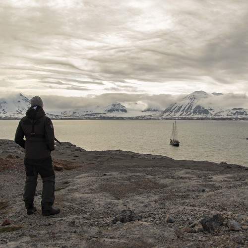 Photo #9340852