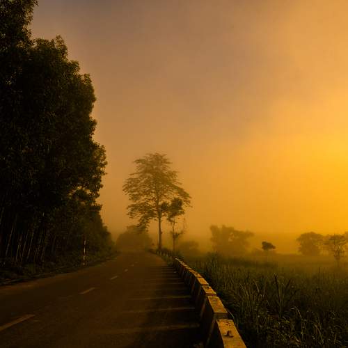 Photo #9341007