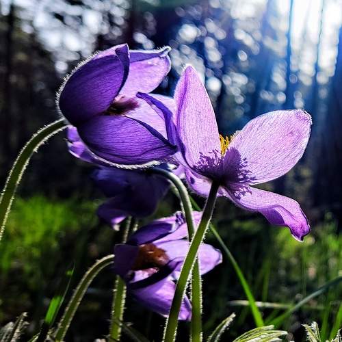 Photo #9341091