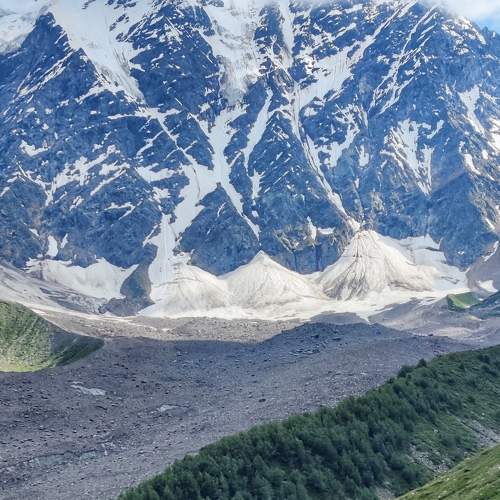 Photo #9341156