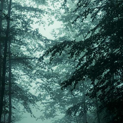 Photo #9341176