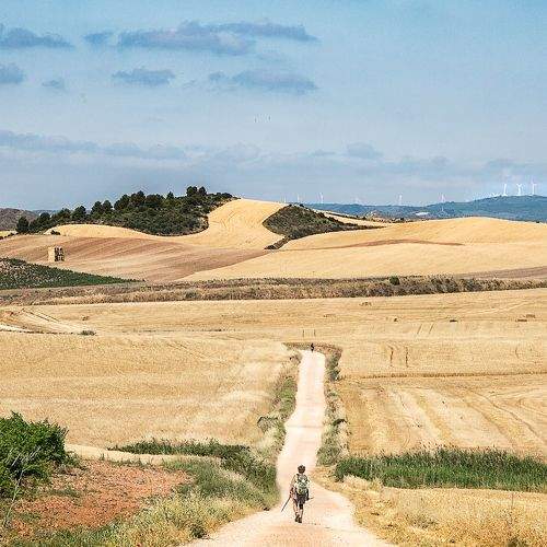 Photo #9341198