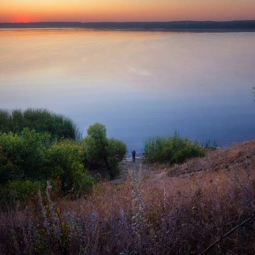 Photo #9341428