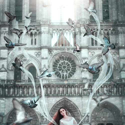Photo #9341556