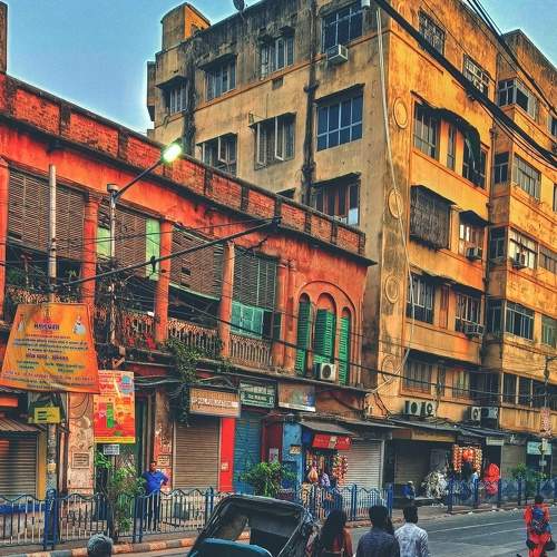 Photo #9341762