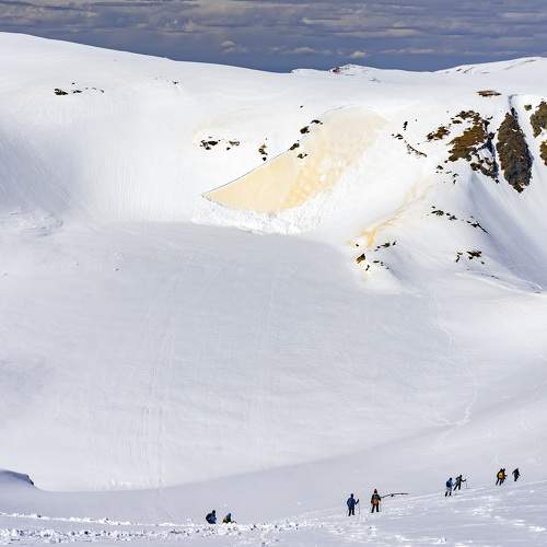 Photo #9341941