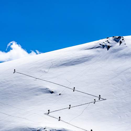 Photo #9341944