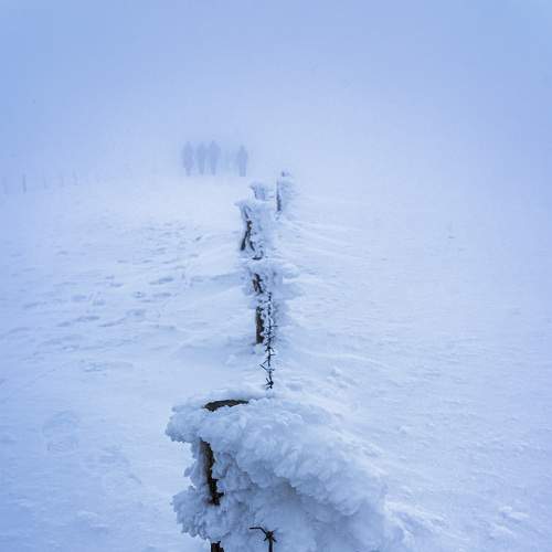 Photo #9341962