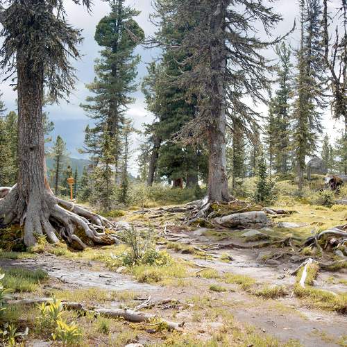 Photo #9342047