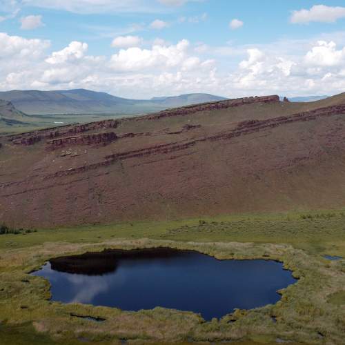 Photo #9342052