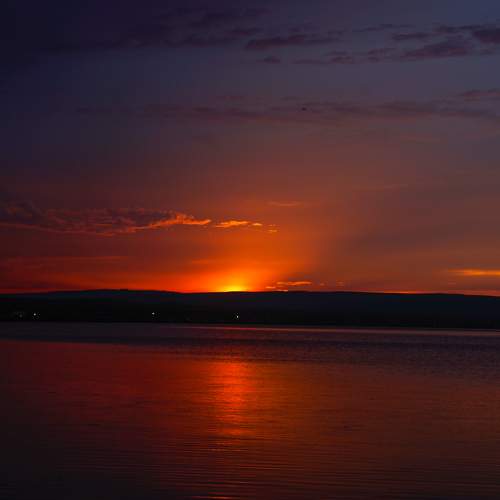 Photo #9342065