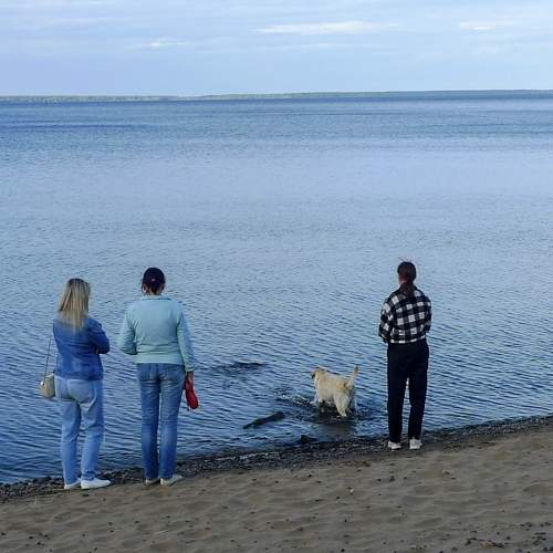 Photo #9342813