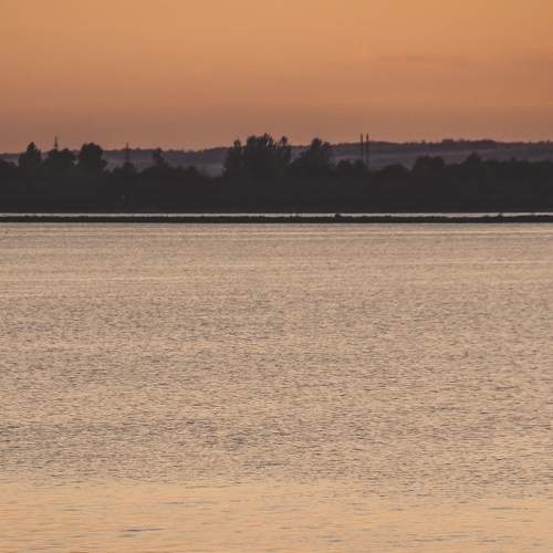 Photo #9342827