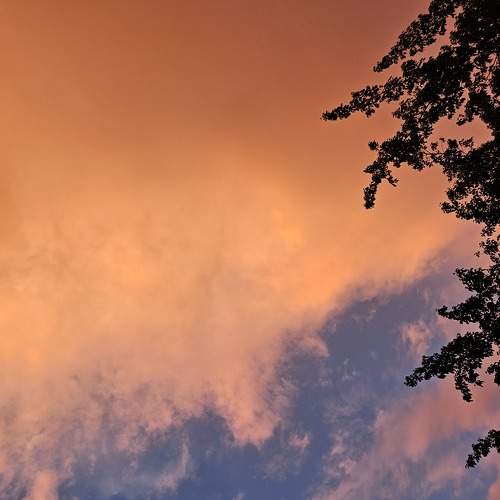 Photo #9343082