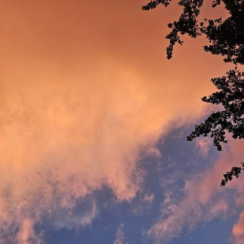 What color is your sky?