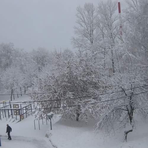 Photo #9343321