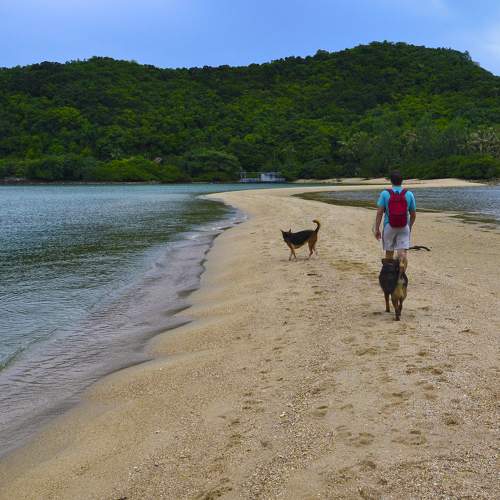 Photo #9343488