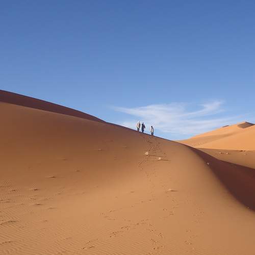 Photo #9343490