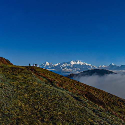 Photo #9343704