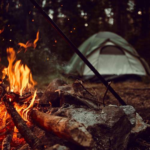 Photo #9343872