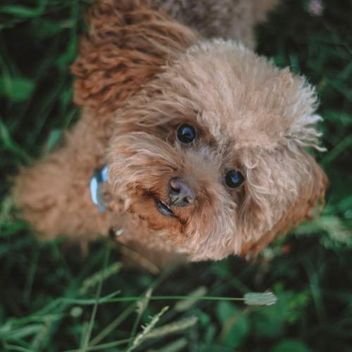 Photo #9344406
