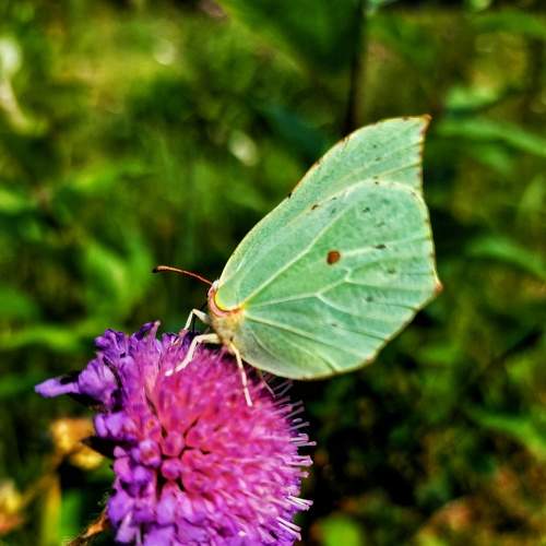 Photo #9344667
