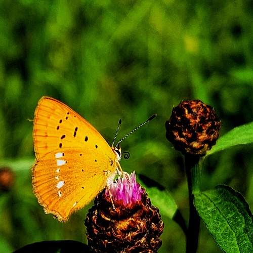 Photo #9344669