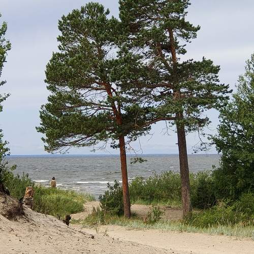 Photo #9344674
