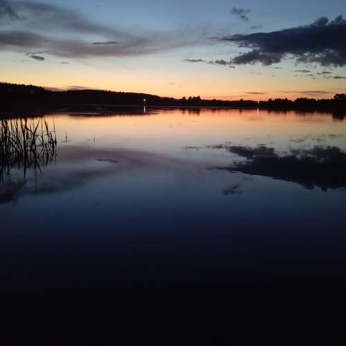 Photo #9344737