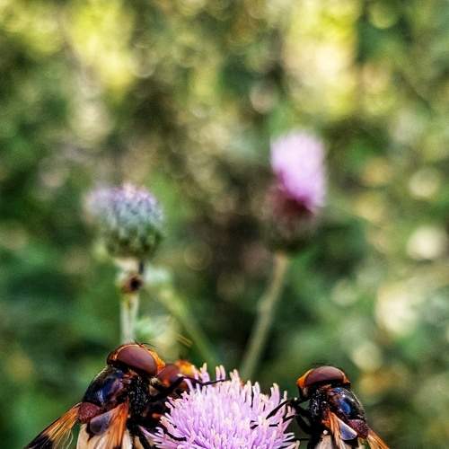 Photo #9344975