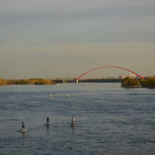 Photo #9346215