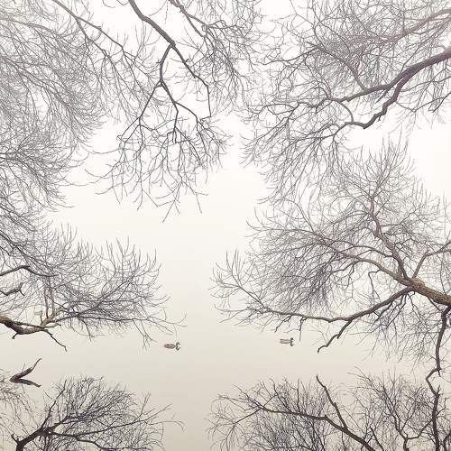 Photo #9346270