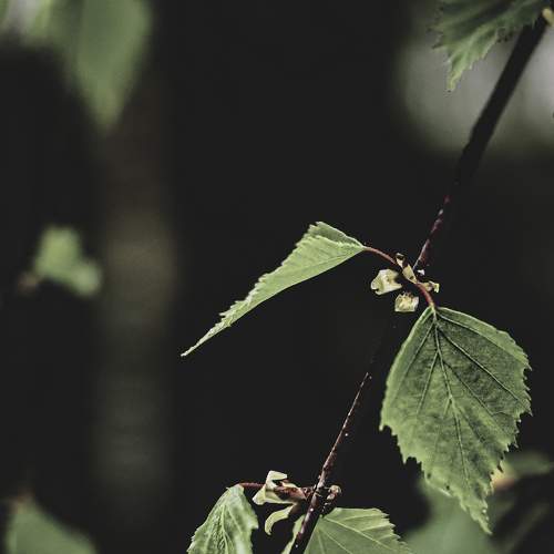 Photo #9346564