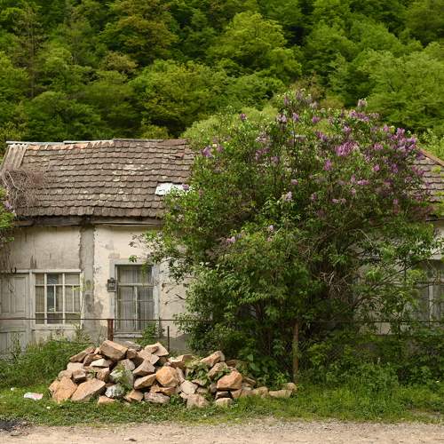 Photo #9346787