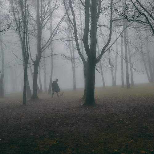 Photo #9347146